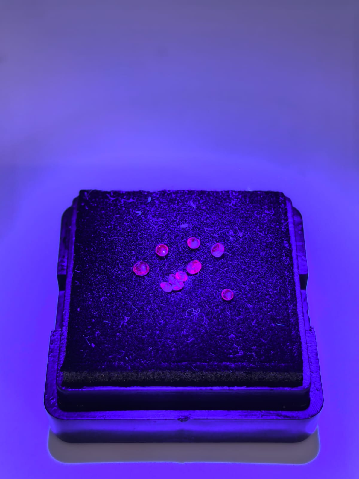 Alexandrita circular, lote de 0.13ct